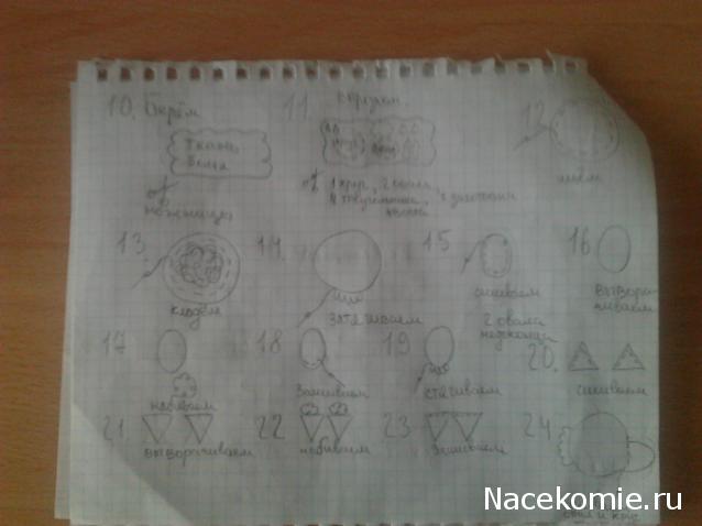 The Dog Collection 2010 - График Выхода и обсуждение