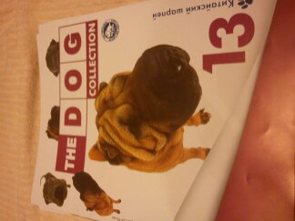 The Dog Collection 2010 - График Выхода и обсуждение