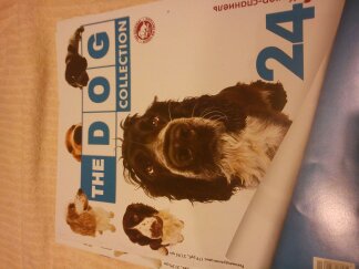 The Dog Collection 2010 - График Выхода и обсуждение