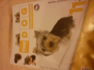 The Dog Collection 2010 - График Выхода и обсуждение