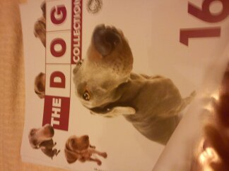 The Dog Collection 2010 - График Выхода и обсуждение