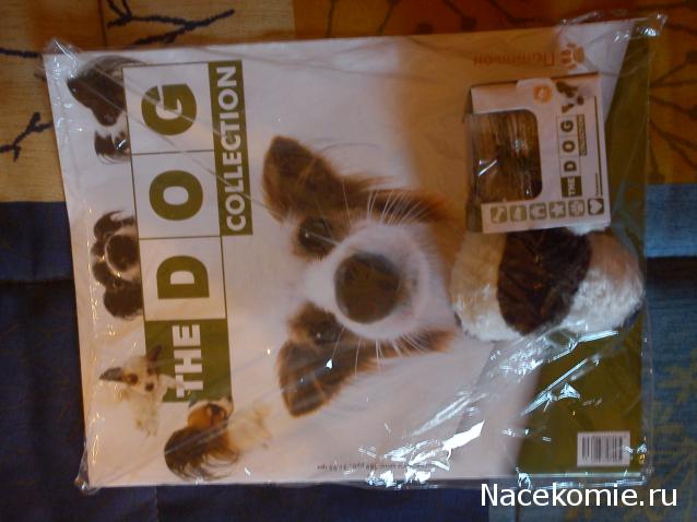 The Dog Collection №39 Папильон