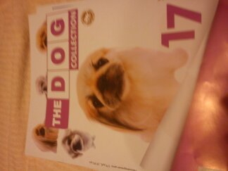 The Dog Collection 2010 - График Выхода и обсуждение