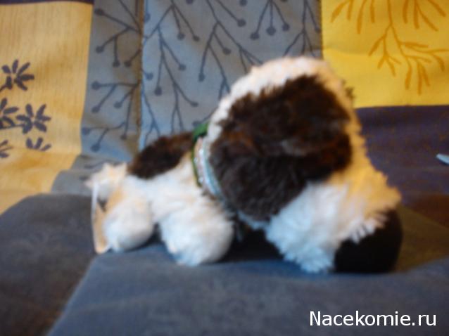 The Dog Collection №39 Папильон