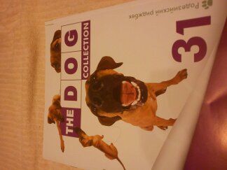 The Dog Collection 2010 - График Выхода и обсуждение