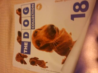 The Dog Collection 2010 - График Выхода и обсуждение