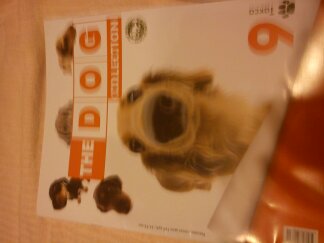 The Dog Collection 2010 - График Выхода и обсуждение