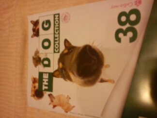 The Dog Collection 2010 - График Выхода и обсуждение