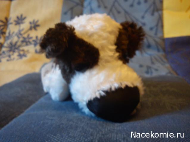 The Dog Collection №39 Папильон