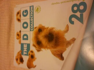 The Dog Collection 2010 - График Выхода и обсуждение