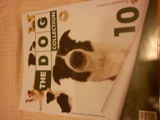 The Dog Collection 2010 - График Выхода и обсуждение