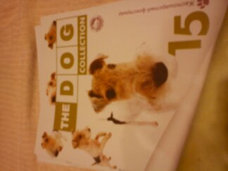 The Dog Collection 2010 - График Выхода и обсуждение