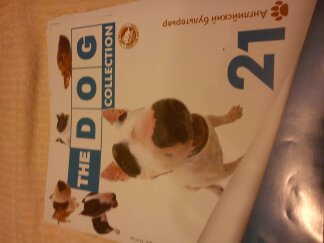 The Dog Collection 2010 - График Выхода и обсуждение