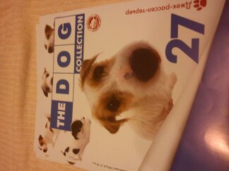 The Dog Collection 2010 - График Выхода и обсуждение