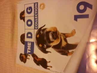 The Dog Collection 2010 - График Выхода и обсуждение