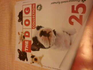 The Dog Collection 2010 - График Выхода и обсуждение