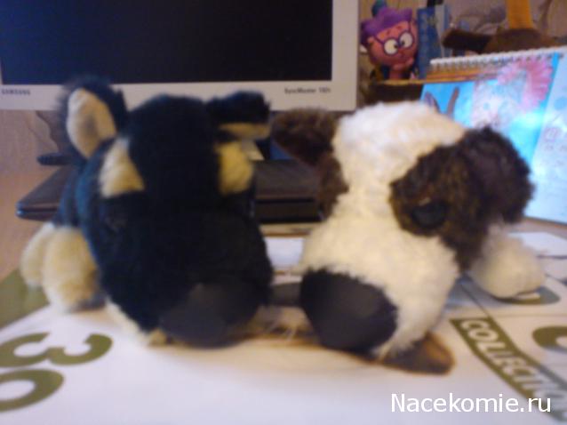 The Dog Collection №39 Папильон