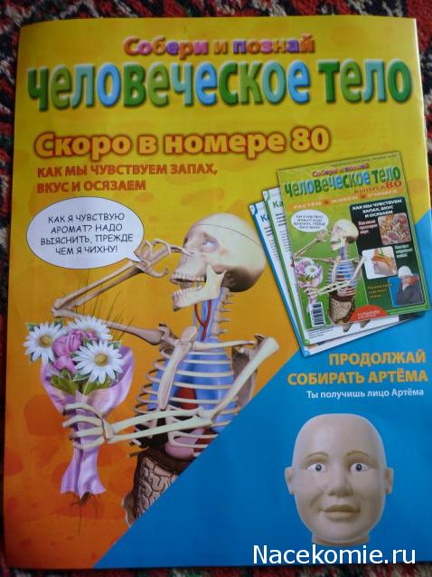 "Собери и познай человеческое тело" (сборка скелета)