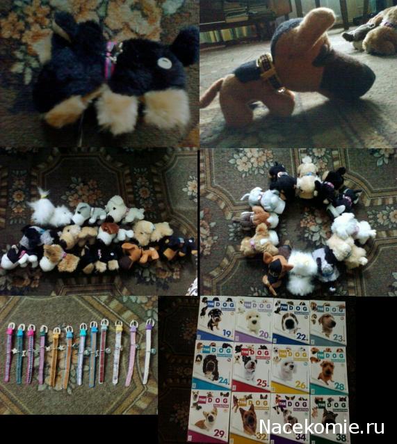 The Dog Collection 2010 - График Выхода и обсуждение