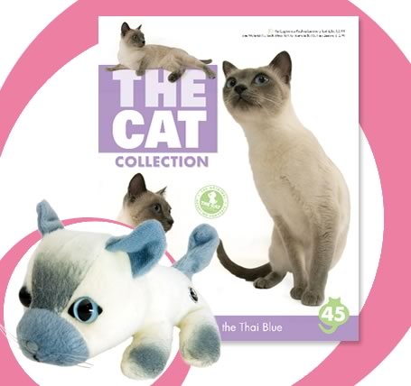 The Cat Collection График Выхода, обсуждение серии