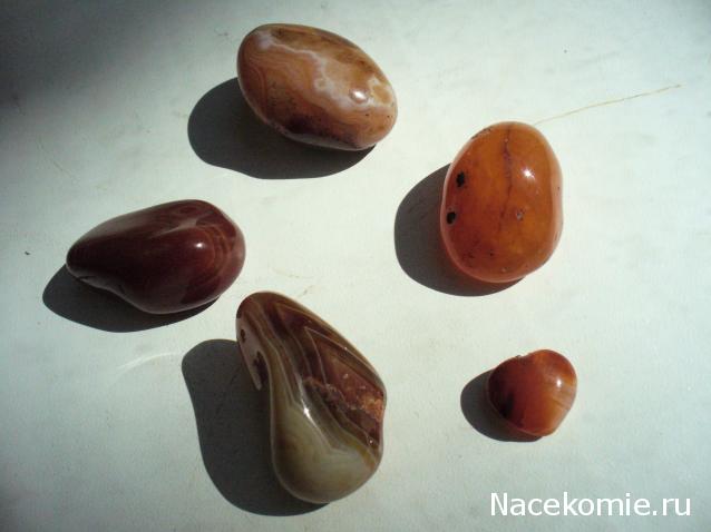 Энергия камней №31 Сердолик (окатанный камень) фото, обсуждение