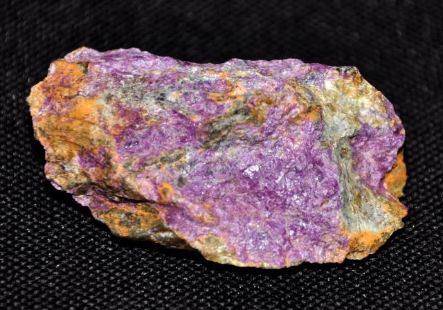 Коллекция минералов и окаменелостей Eliza