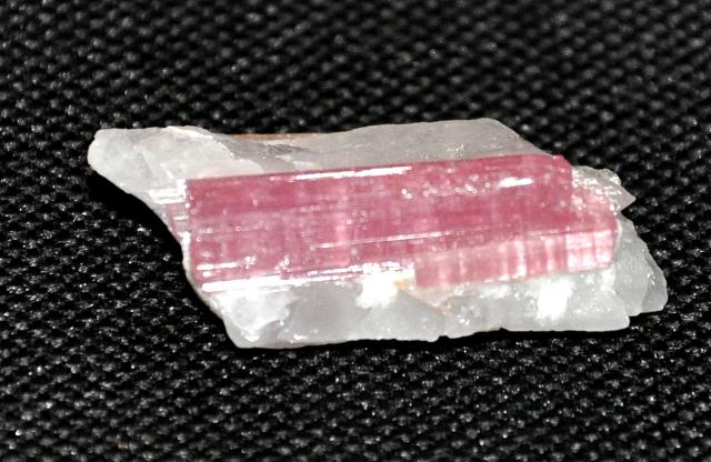 Коллекция минералов и окаменелостей Eliza