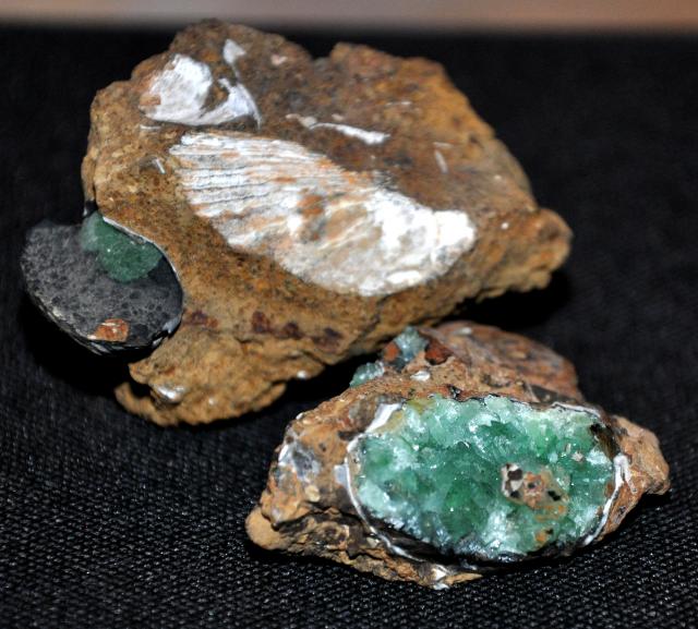 Коллекция минералов и окаменелостей Eliza