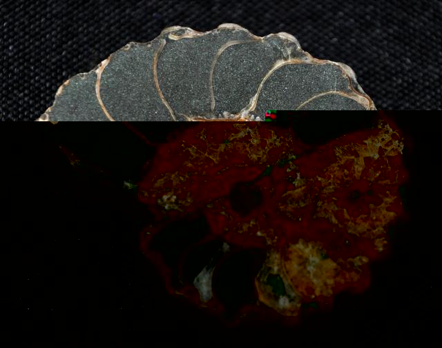 Коллекция минералов и окаменелостей Eliza