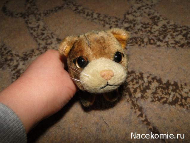 The Cat Collection График Выхода, обсуждение серии