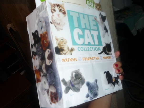 The Cat Collection График Выхода, обсуждение серии