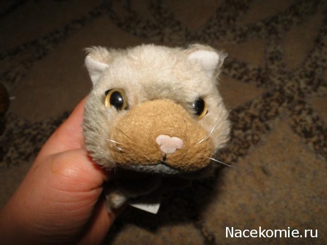 The Cat Collection График Выхода, обсуждение серии