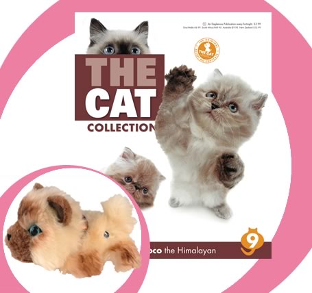 The Cat Collection График Выхода, обсуждение серии