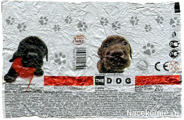 The Dog Collection 2010 - График Выхода и обсуждение