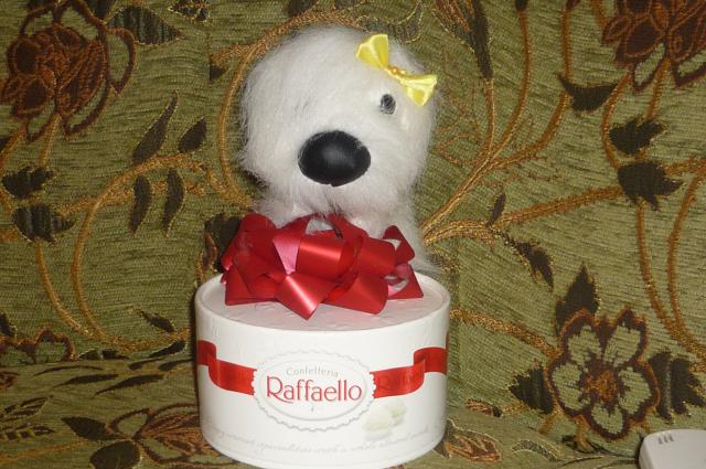 The Dog Collection №26 Мальтийская Болонка