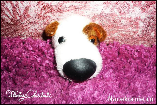 The Dog Collection №27 Джек Рассел Терьер