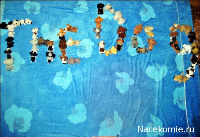 The Dog Collection 2010 - График Выхода и обсуждение