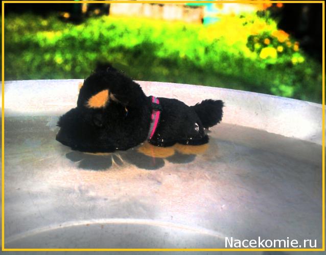 The Dog Collection №38 Сиба-ину
