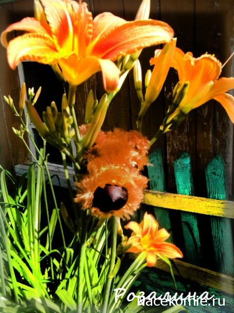 The Dog Collection 2010 - График Выхода и обсуждение