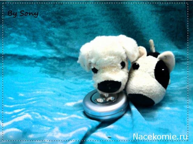 The Dog Collection 2010 - График Выхода и обсуждение