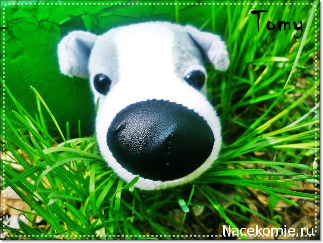 The Dog Collection 2010 - График Выхода и обсуждение