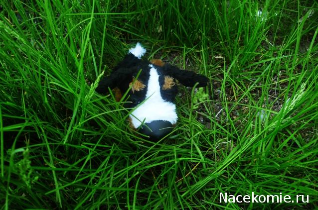 The Dog Collection 2010 - График Выхода и обсуждение