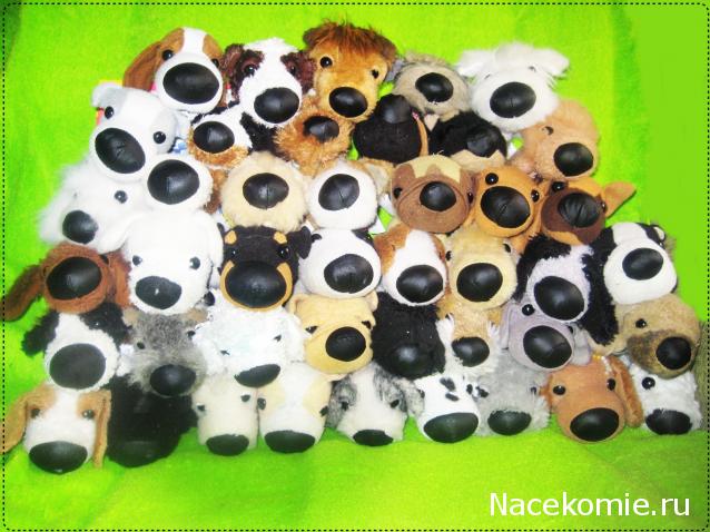 The Dog Collection 2010 - График Выхода и обсуждение