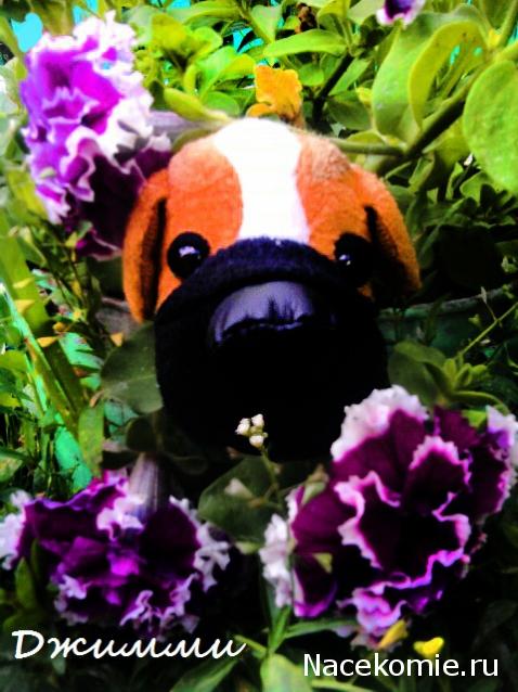 The Dog Collection 2010 - График Выхода и обсуждение