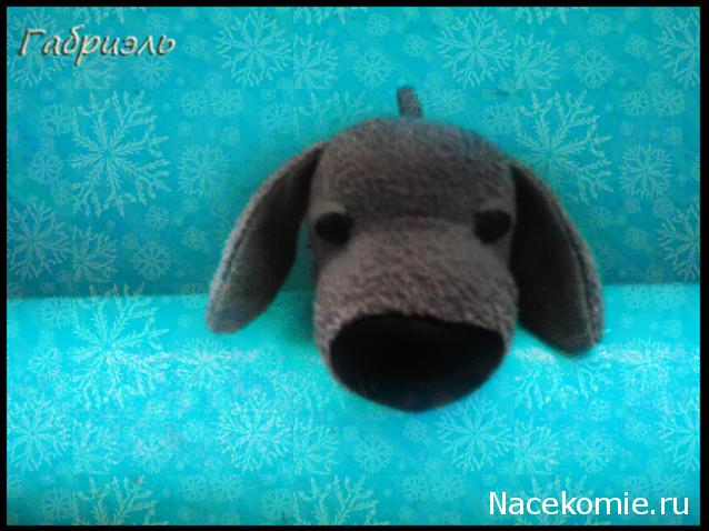 The Dog Collection 2010 - График Выхода и обсуждение