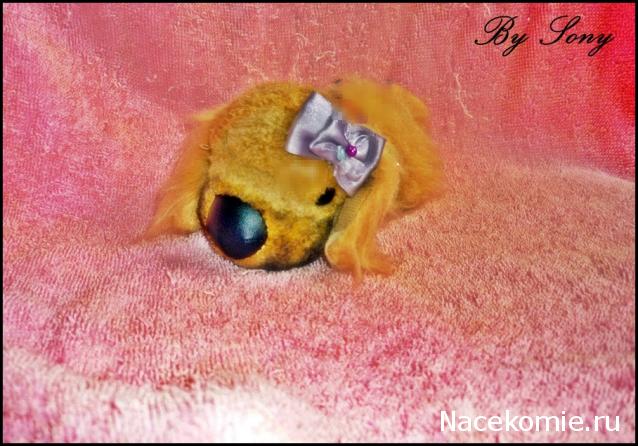 The Dog Collection 2010 - График Выхода и обсуждение