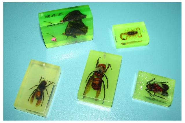 Насекомые в Акриле НЕ из Журнала