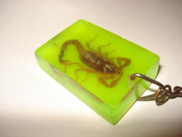 Насекомые в Акриле НЕ из Журнала