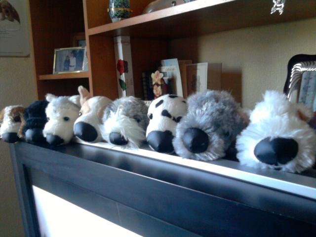 The Dog Collection 2010 - График Выхода и обсуждение
