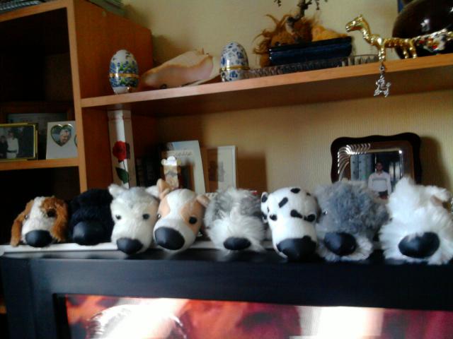 The Dog Collection 2010 - График Выхода и обсуждение